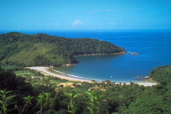 Саулеша Джаркенова