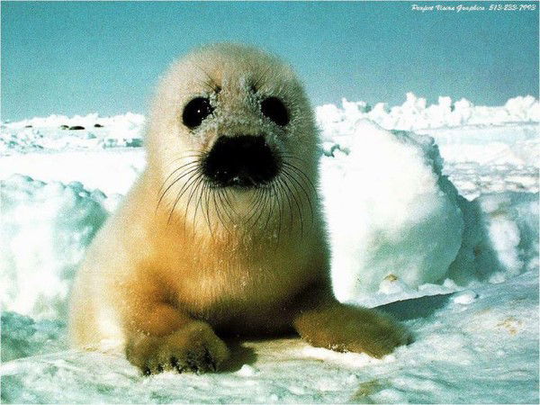 Владислав Вадимович