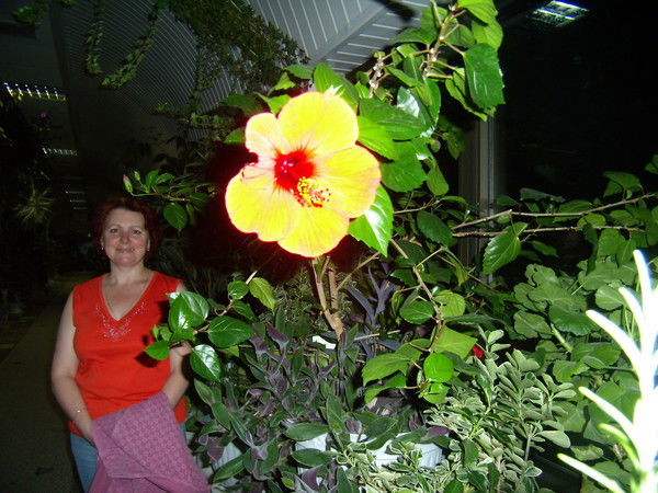 Людмила Медловец