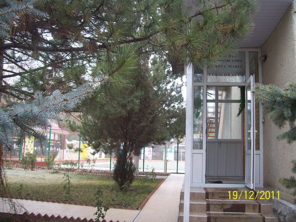 Bunvolentia Grigorauca