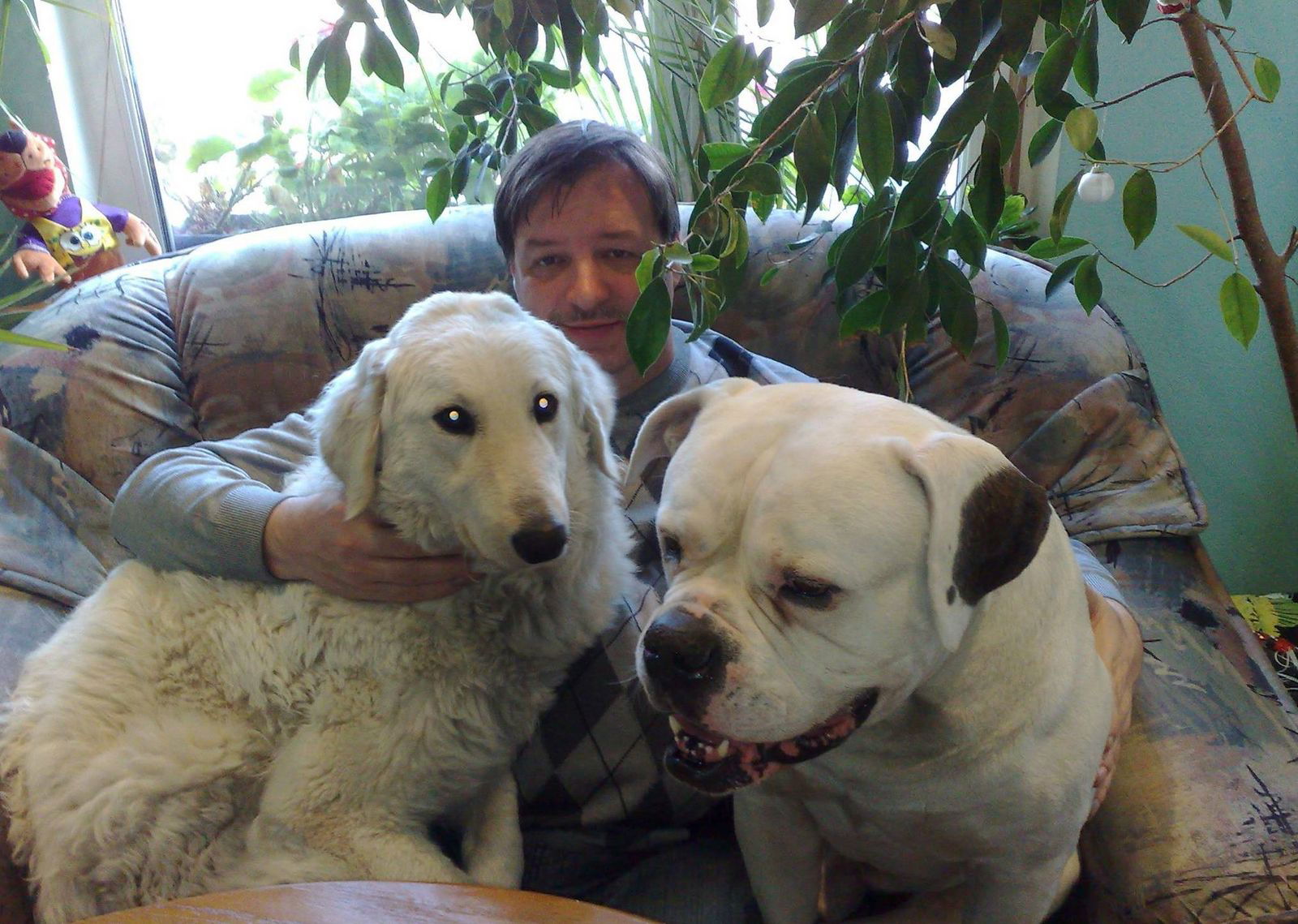 Владимир Щедрый