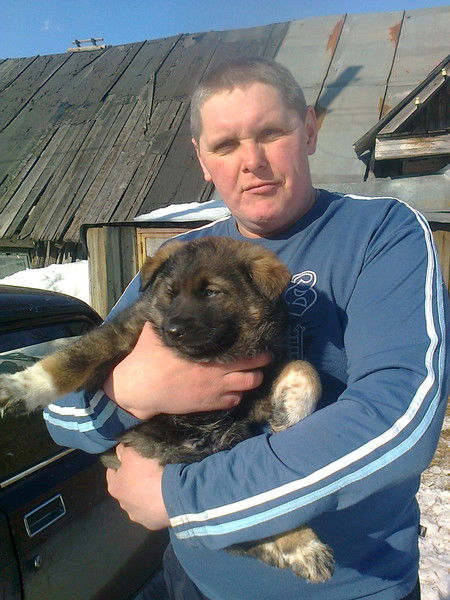 Денис Андреев