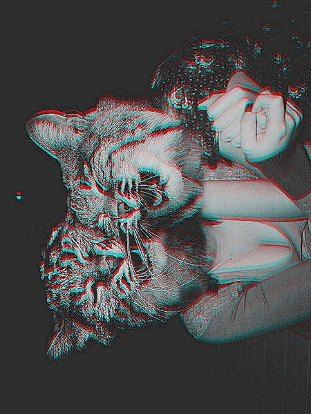 Карина Межень