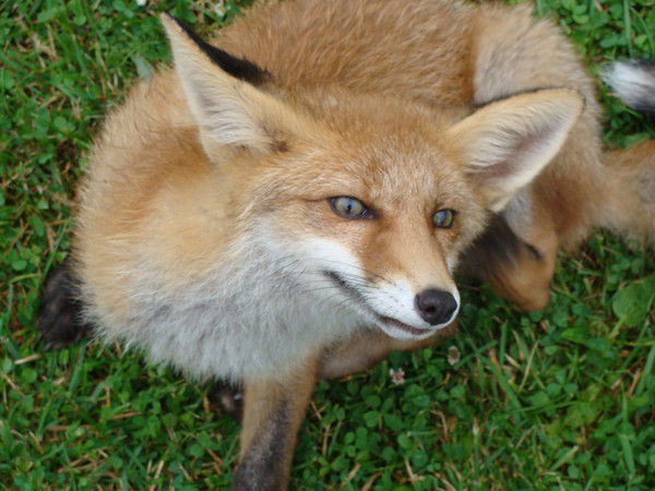 Александр Смакотин