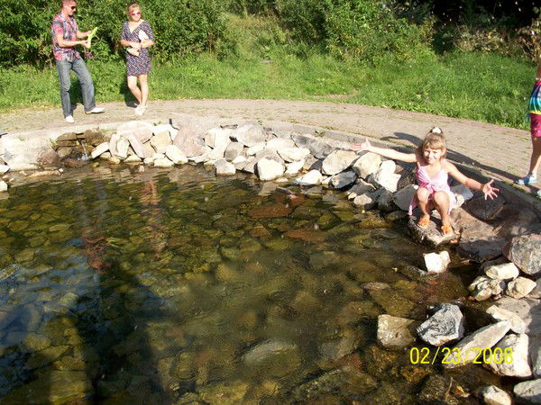 Виола Дрозд