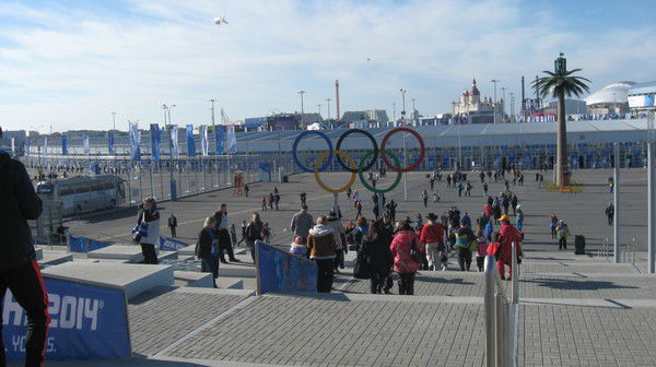 Светлана Палажнова