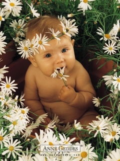 Алтынай Аллабергенова