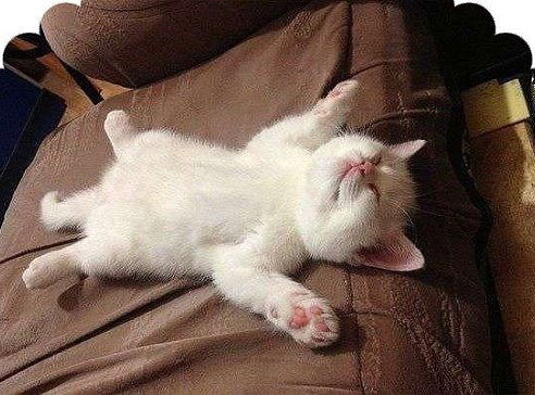 Нина Драгомирова