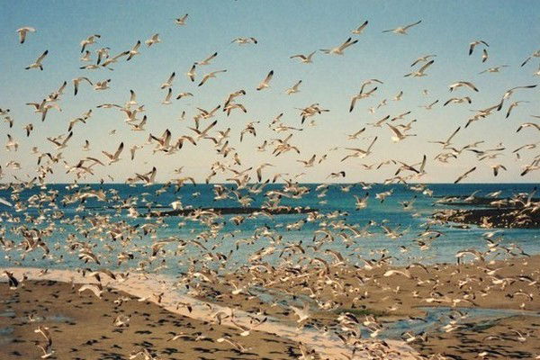 Екатерина Куликова