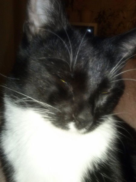 Леонид Чернов