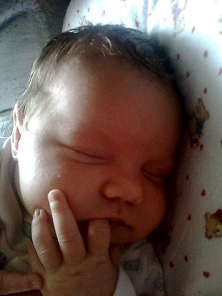 Виктор Шевляков