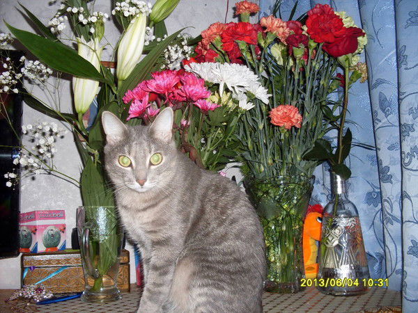 Ольга Лиситченко