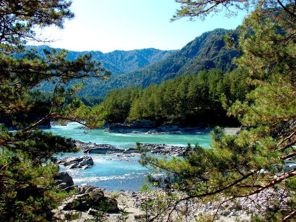 Костян Попов