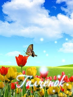 Галина Сургутская