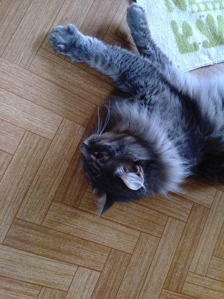 Анастасия Глебова