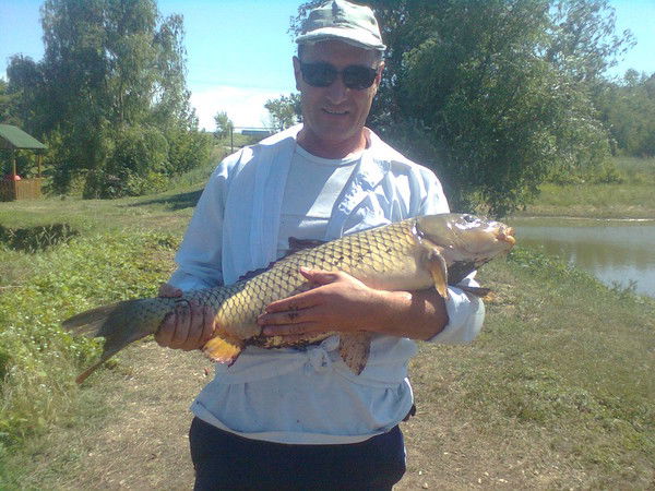 Евгений Князев