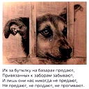 Василий Петров