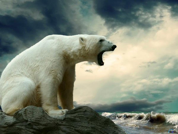 Алексей Синиченко