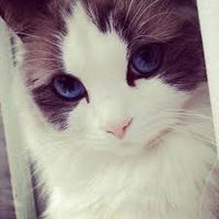 Катя Козлова