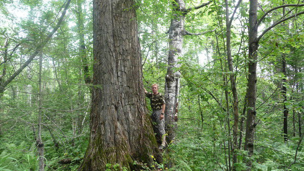 Эдуард Гаврилюк