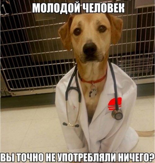 Алексей Перчик