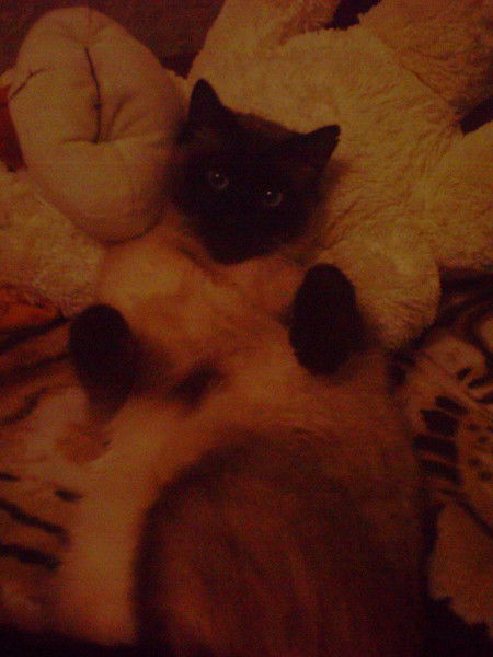 Сергей Гаркуша