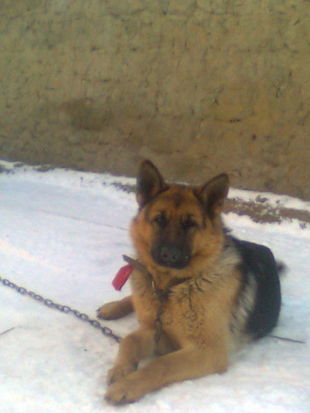 ™®Erasill®™ ™®Satimov®™