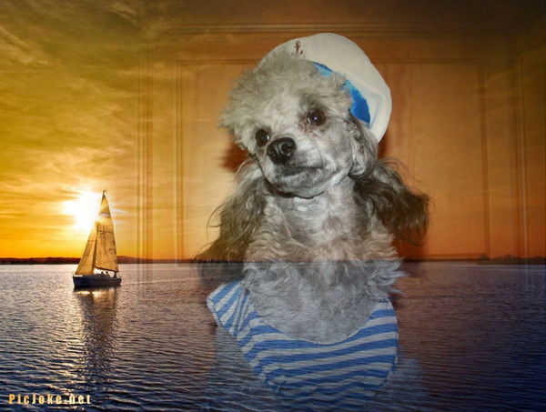 Деня Денечка