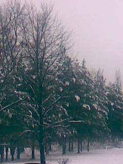 Яков Воробьев