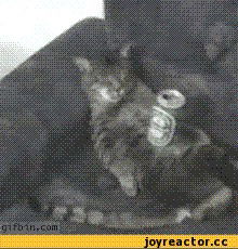 Сергей Белый