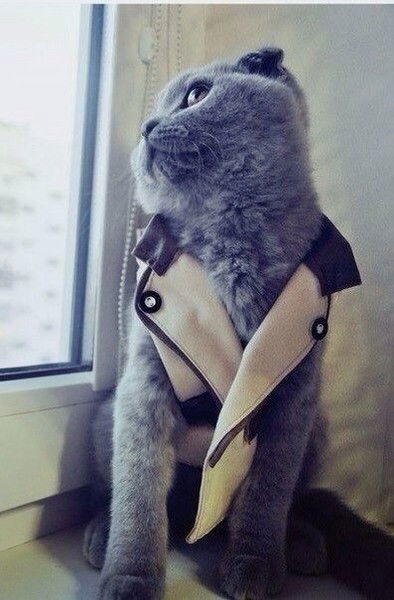 Серёжа Маша