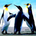 Евгений Хорошев