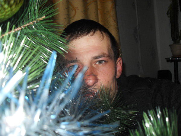 Александр Метельский