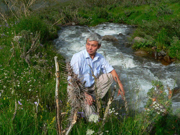 Дайырбек Мейманов