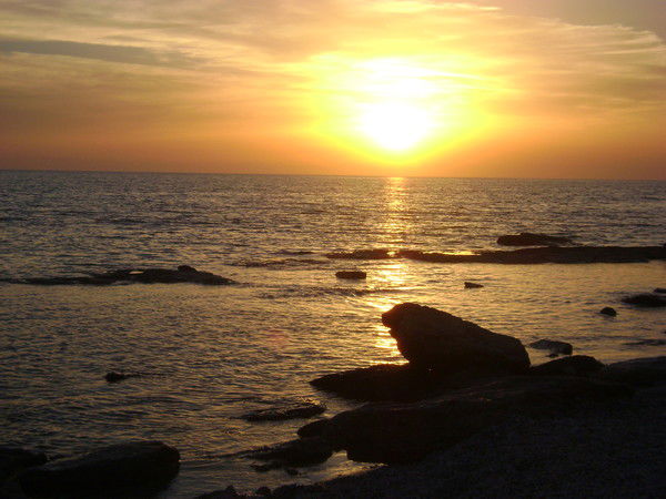 Эльмира Култасова