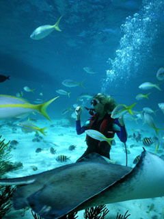 Ирина Михайлова