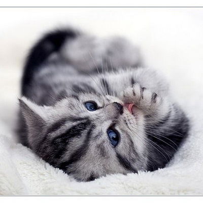 Дана Сухарева