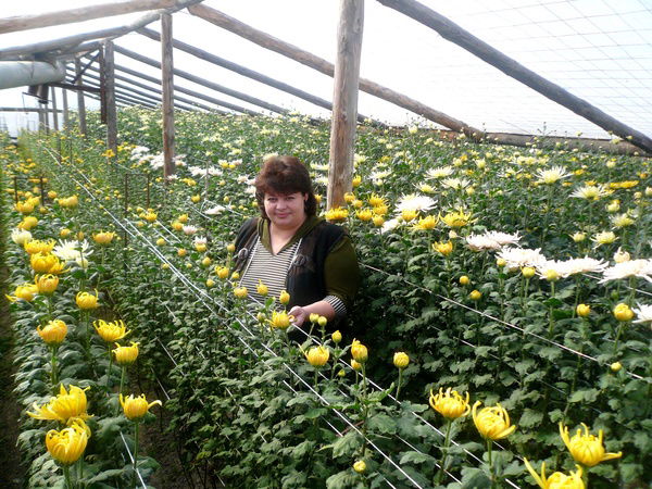 Ирина Досанова