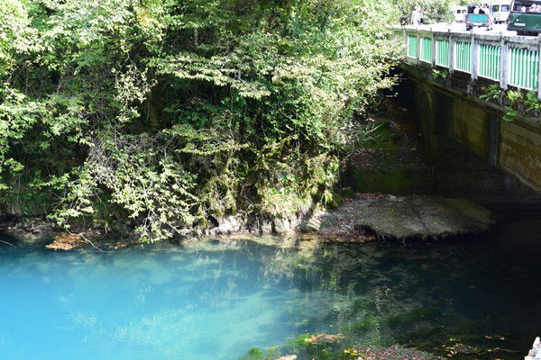 Мария Лабунец