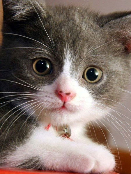 Нодира Машарипова