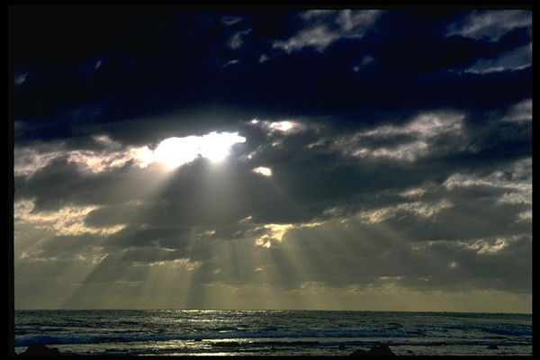 Виталий Шинкаренко