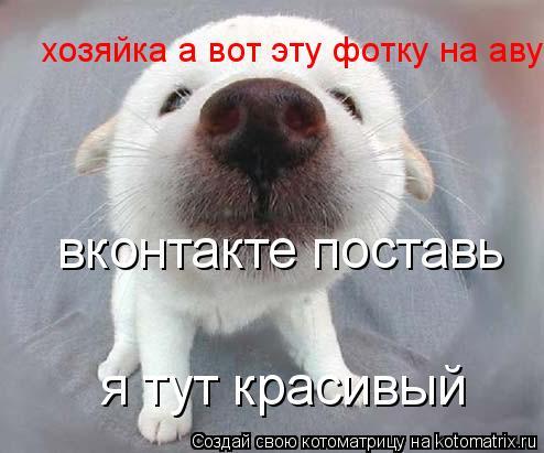 Екатерина Кузнецова