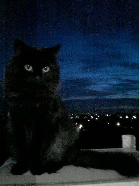 Евгений Sssss