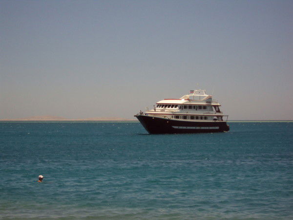 Николай Алексеев