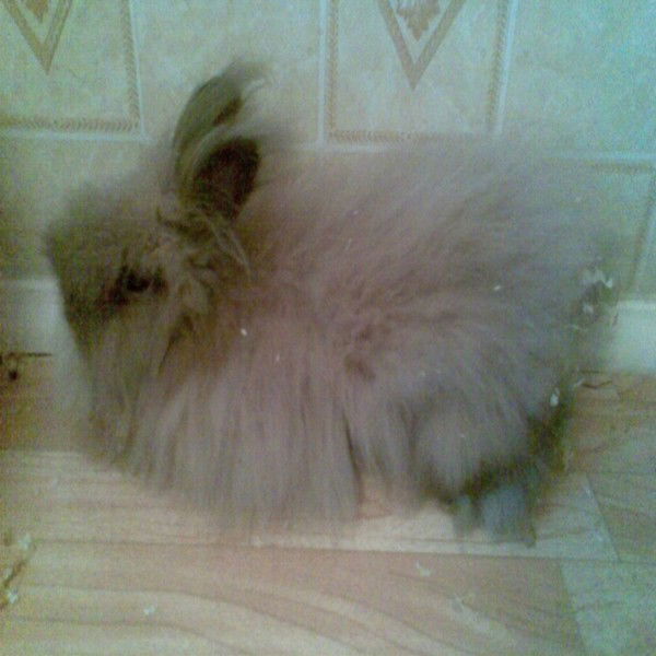 Владислав Исаков