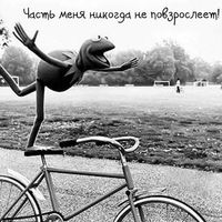 Светлана Васильева