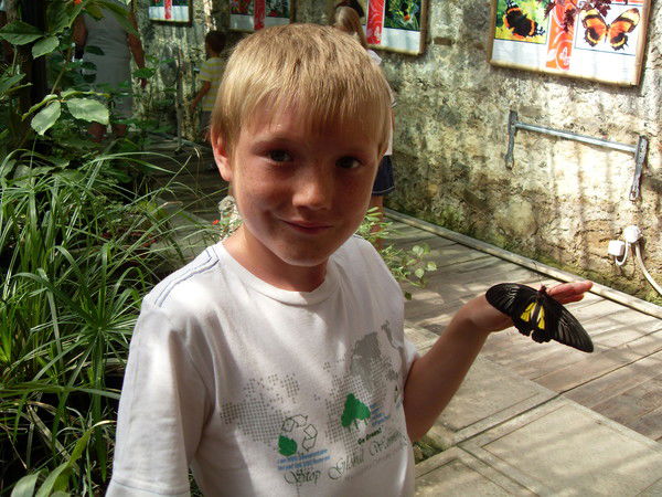 Иван Крицкий