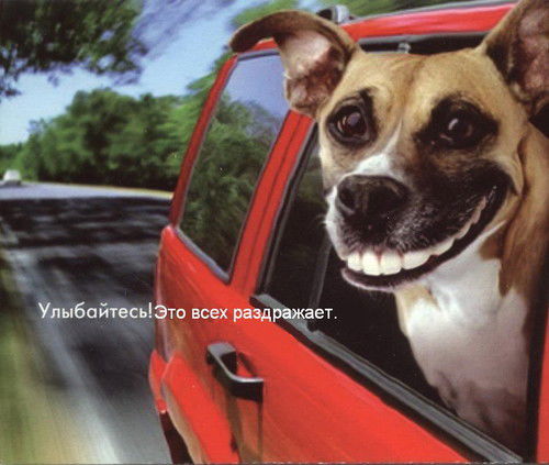 Алексей Рудков