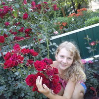 Богдана Холод