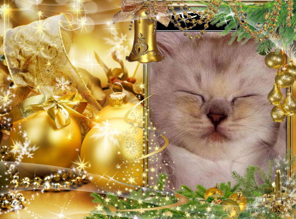 Владимир Еремеев